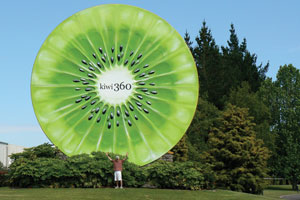 kiwi 360