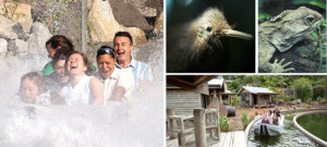 Rainbow Springs Wildlife Park