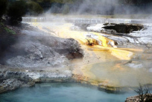 whakarewarewa-thermal-tour