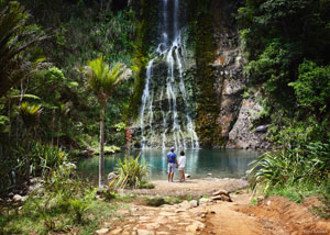 nz waterfall