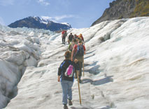 fox glacier