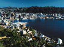 wellington
