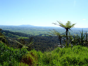 kaimai ranges