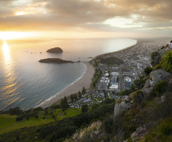 tauranga mount view