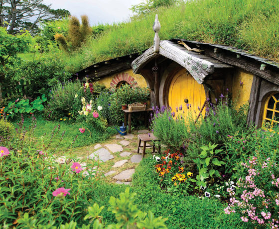 hobbiton and waitomo caves tour