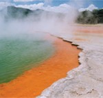 Rotorua Thermal Pool