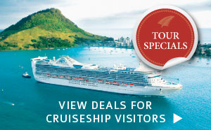 cruiseship in New Zealand image