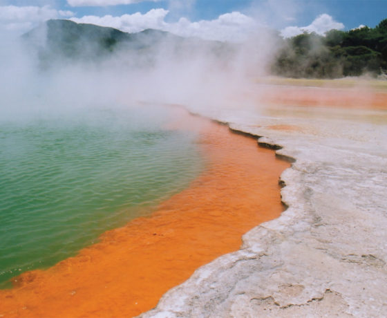 champagne pool rotorua