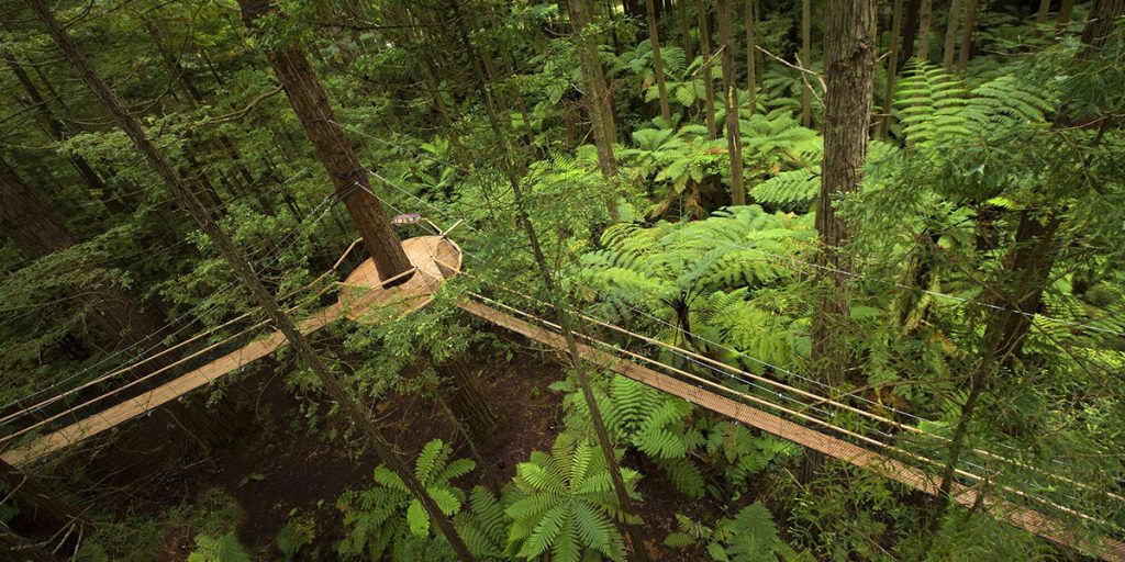 Treetops Rotorua canopy