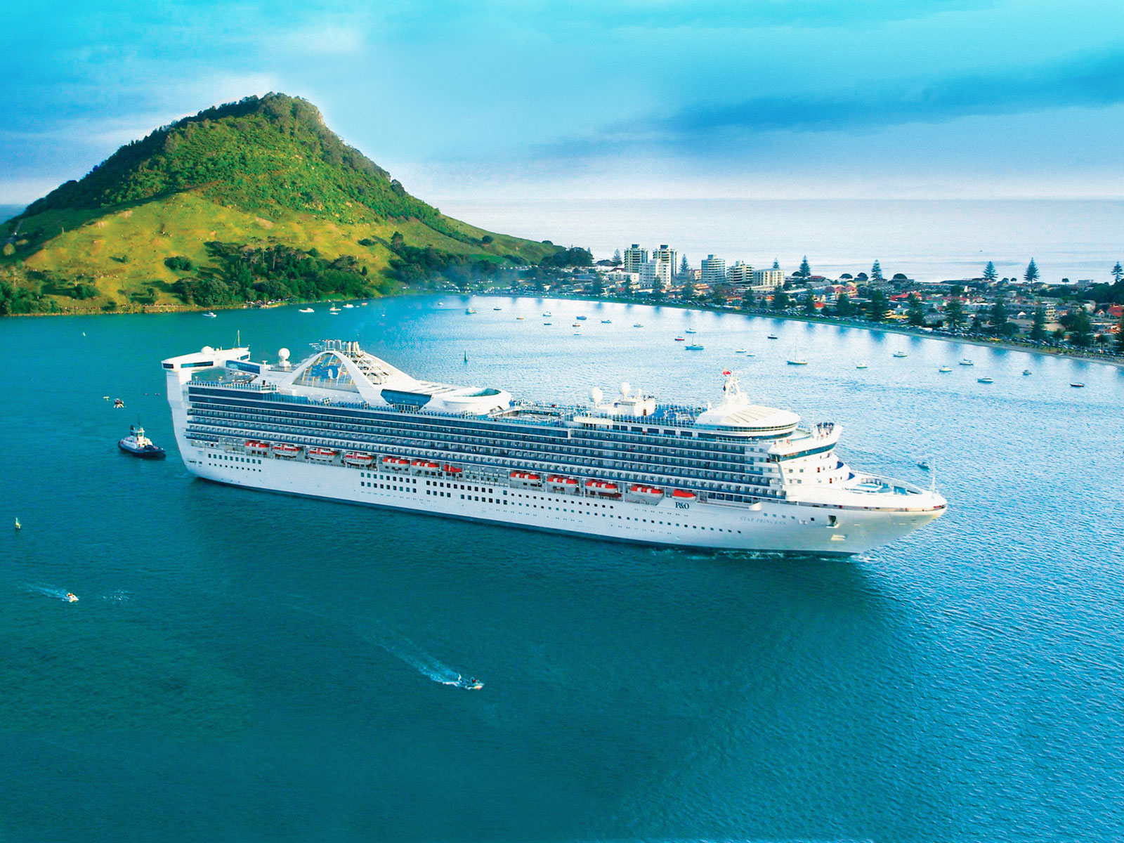 tauranga harbour cruise ships