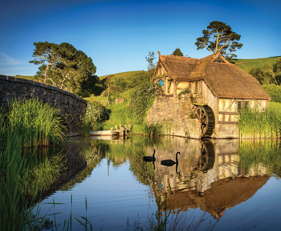 lord of the rings tour hobbiton