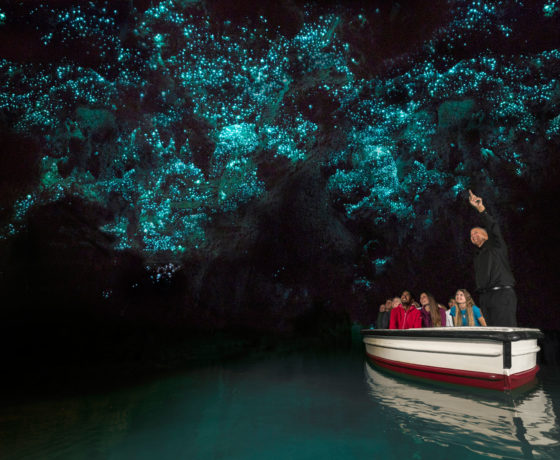 waitomo caves boat glow worms