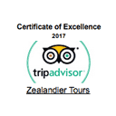 trip advisor 2017 badge