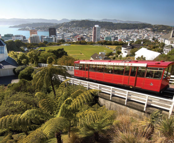 zealandier tours wellington