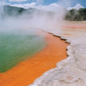 champagne-pool-rotorua.jpg