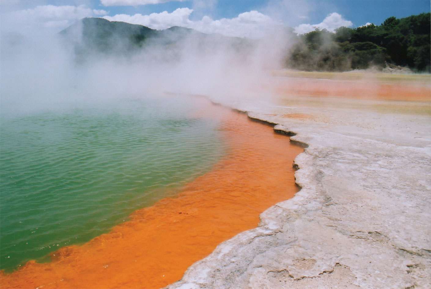 champagne-pool-rotorua.jpg