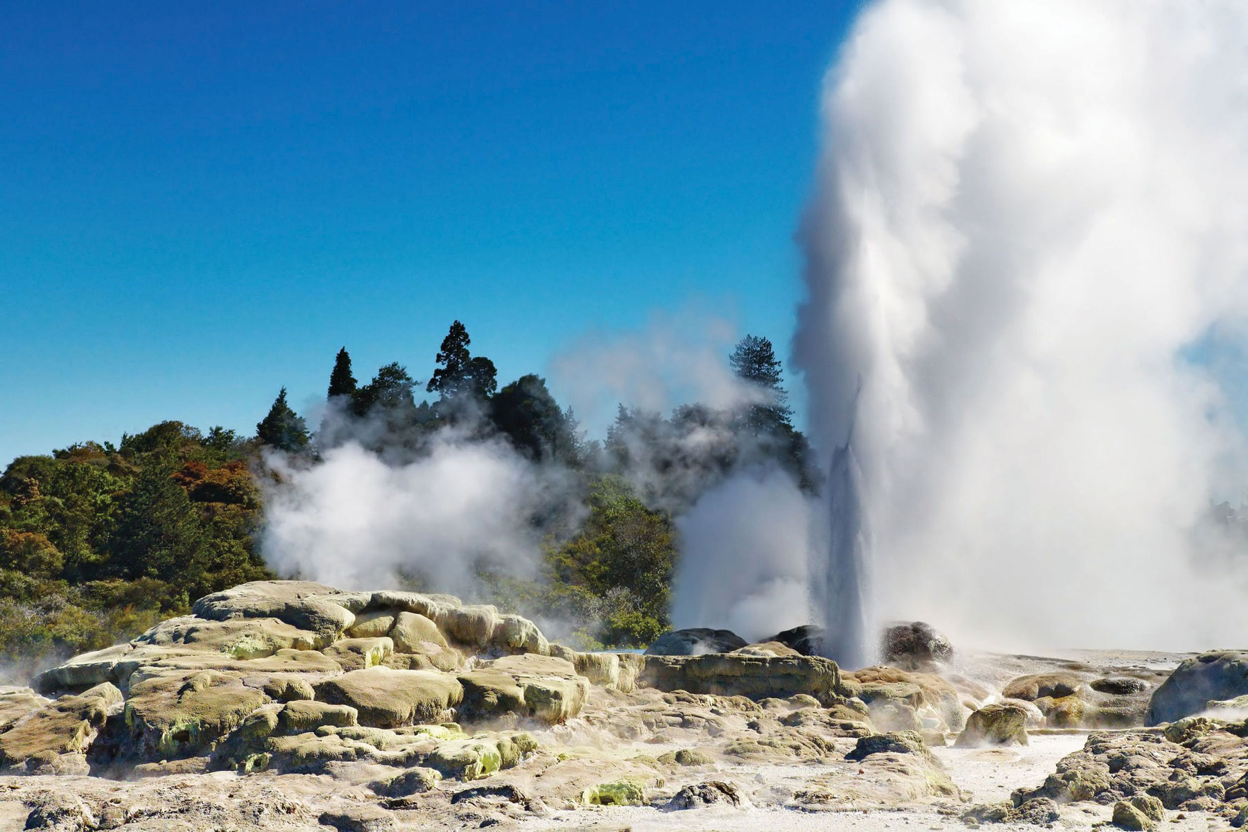 pohutu-geyser-1200px-w.jpg