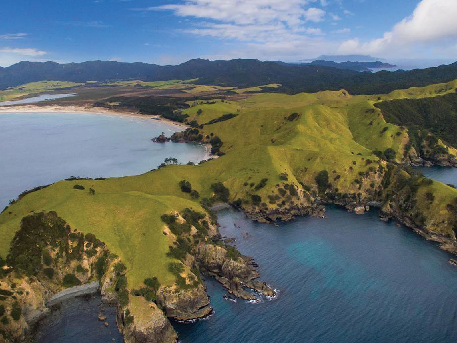 Great Barrier Island Zealandier Tours