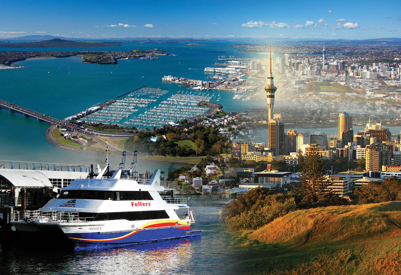 Auckland to Coromandel Cruise Zealandier Tours