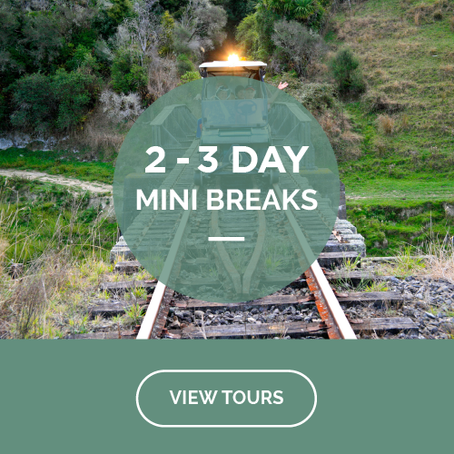2 and 3 day tours