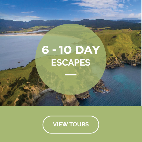 6 to 10 day tours