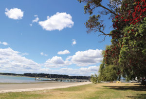 Historic Omokoroa
