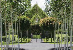 Tree Church Gardens & Lunch