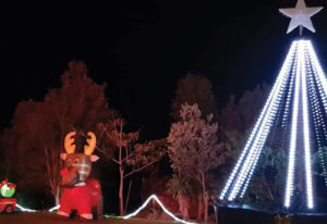 Paeroa Christmas Lights