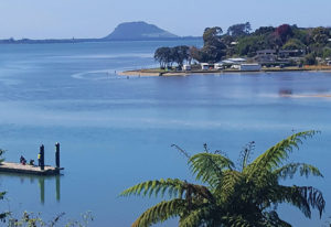 Tauranga Harbour Cruise