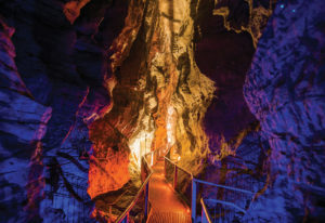 Ruakuri Cave