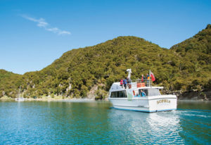 Totally Tarawera - Cruise & Hot Swim
