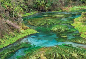 The Blue Spring
