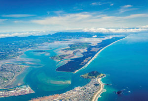 Explore Matakana Island