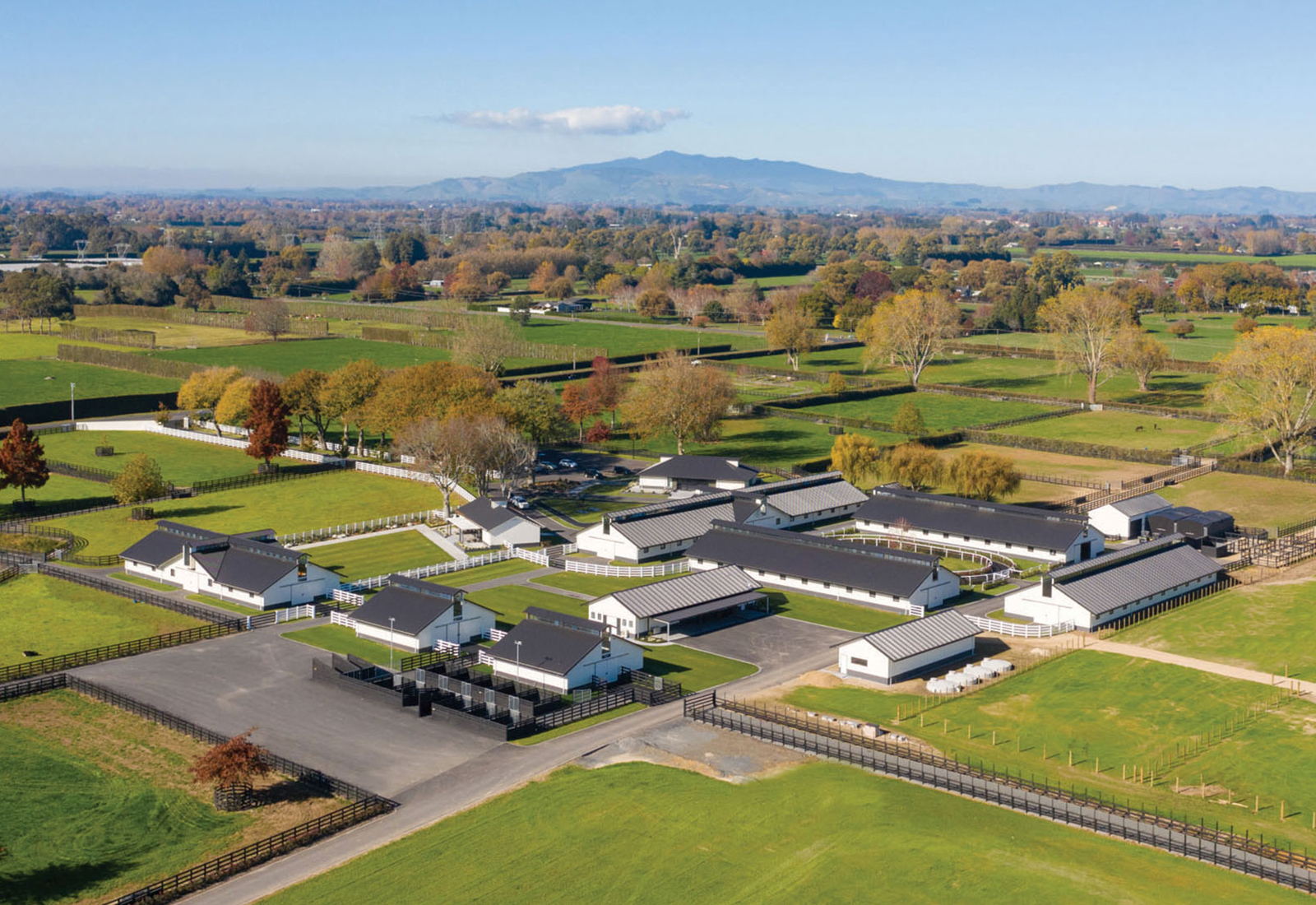 Visit Cambridge Stud & Museum Zealandier Tours