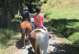 Lake Okereka Horse Trek