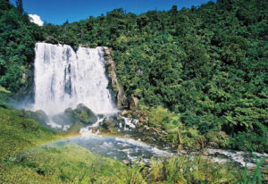 Waikato's West Coast Road Trip