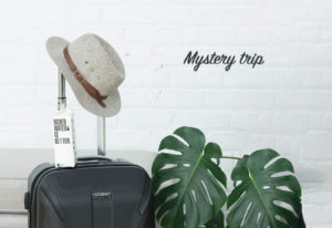 Luxurious Winter Mystery Break