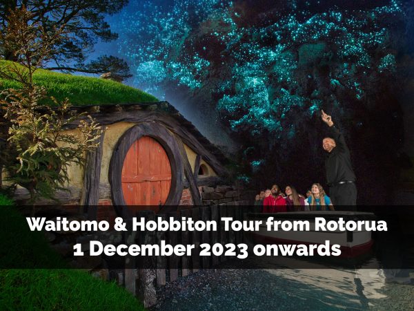 HWXR2 - Waitomo Caves & Hobbiton Beyond the Door - 1 December 2023 onwards