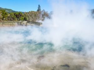 #ROTSS - Rotorua Sightseeing Shore Excursion