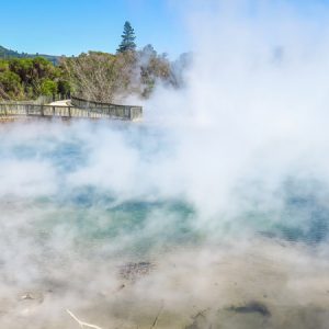 #ROTSS - Rotorua Sightseeing Shore Excursion